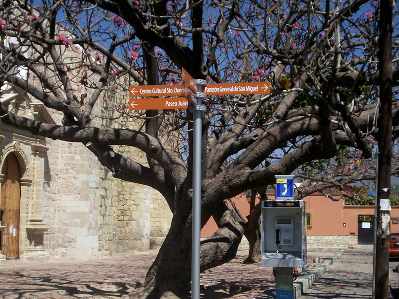 Oaxaca